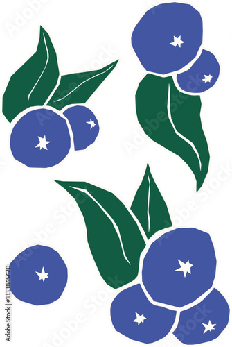 Blueberries with Leaves