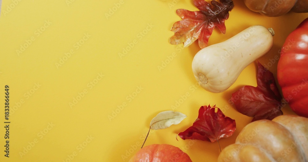 Naklejka premium Displaying orange pumpkins, butternut squash and dried maple leaves on yellow surface, copy space