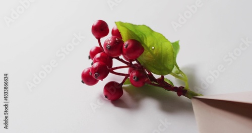 Displaying glossy red berry cluster resting on white surface, showing leaf and envelope, copy space