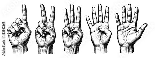 Set of hands counting from one to five in vintage style