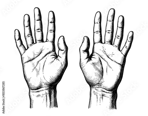 Set of two hands with open palms in vintage style