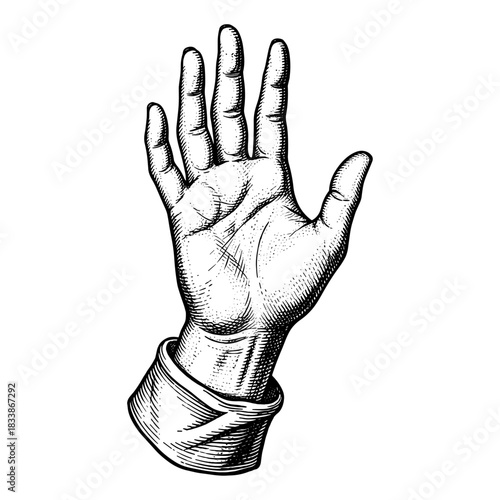 Hand with open palm in vintage engraving style
