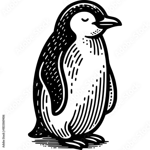 Adorable Penguin Illustration: A captivating monochrome illustration of a penguin. This artwork embodies the simplistic charm, perfect for conveying a sense of serenity.