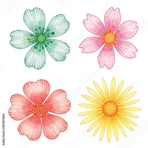 Watercolor illustration of four colorful flower heads