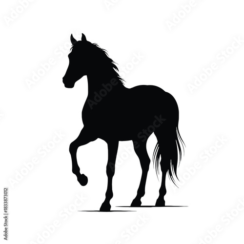 A striking silhouette of a majestic horse in a dynamic pose