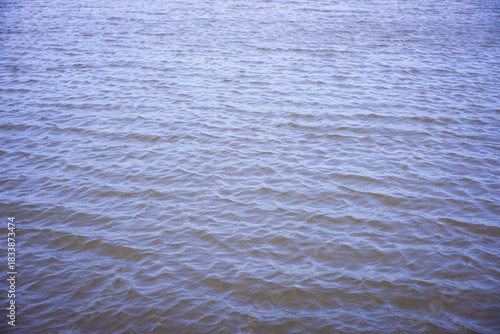 Gentle ripples form on the water surface due to wind. Ideal for nature, texture, calm, and environmental-themed visuals.