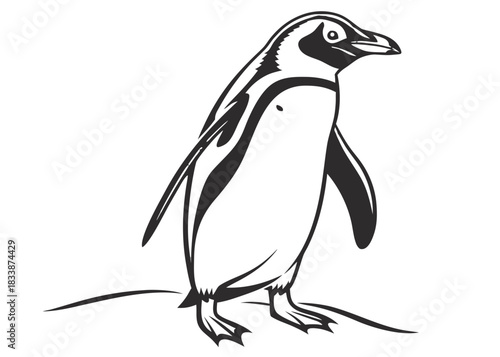 Stylized illustration of a penguin standing on a dark background
