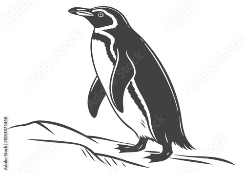 Stylized illustration of a penguin standing on rocky ground