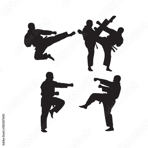 Martial Arts Silhouettes Collection, Martial Arts Silhouette, Fighting Vector, Sports Action