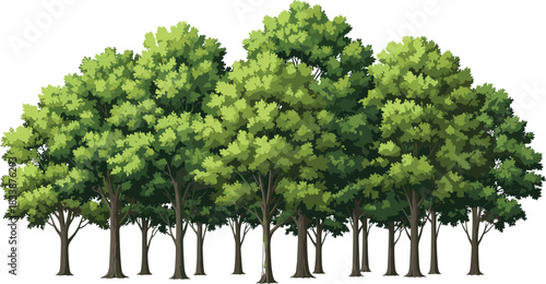 Nature Border Silhouette Vector Illustration Set of Wild Grass, Reed, and Summer Flowers for Organic and Botanical Graphic Design Elements.