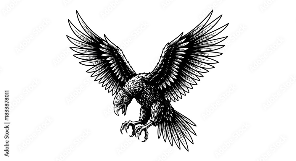 Obraz premium Black and White Eagle Illustration With Wings Spread Out.jpg