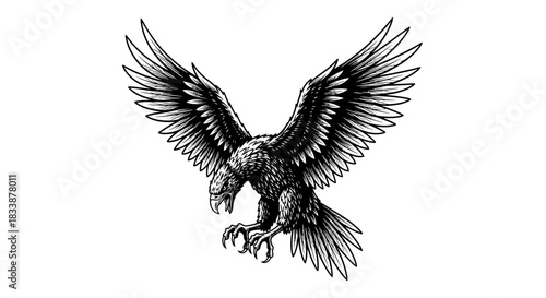 Black and White Eagle Illustration With Wings Spread Out.jpg