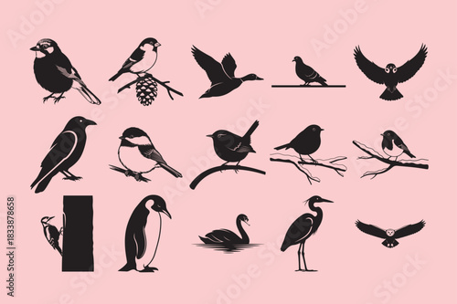 15  Collection of silhouette vector winter bird.