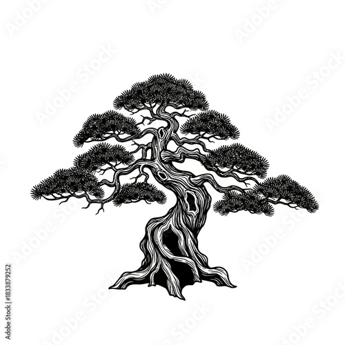 Fanciful Paperclip Shaped Tree Branches on White Background.jpg