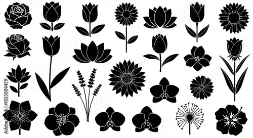 Set of black silhouette floral icons on a white background