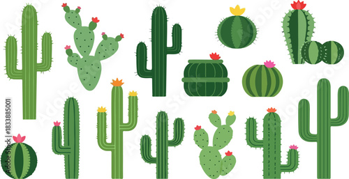 Vector illustration set of different green cactus types, some with vibrant pink, red and yellow flowers, isolated on a white background