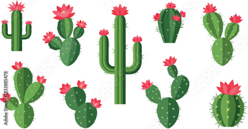 A diverse collection of illustrated flowering cactus plants. This set features various types of green desert succulents with pink and red blooms, isolated on a white background