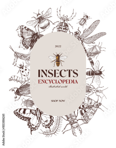 Insects encyclopedia banner page vector