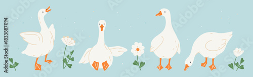 Geese and Wildflowers