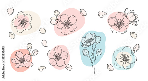 Collection of hand-drawn cherry blossom illustrations with delicate pink and blue abstract shapes, perfect for spring designs.