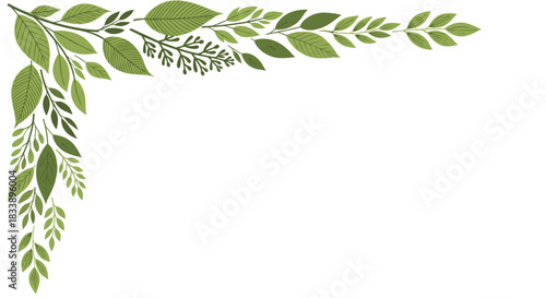 An elegant decorative corner border made of various green leaves and branches, isolated on a clean white background vector.