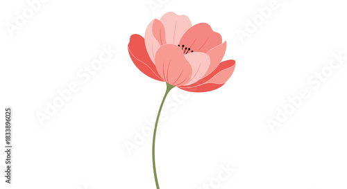 A single beautiful pink poppy flower with a long green stem, illustrated in a simple and elegant flat vector style.