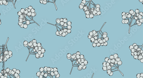 A seamless pattern of hand-drawn rowan berry clusters in a black and white outline style on a soft blue background.