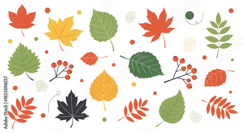A collection of colorful autumn leaves and rowan berries with decorative elements, isolated on a clean white background.