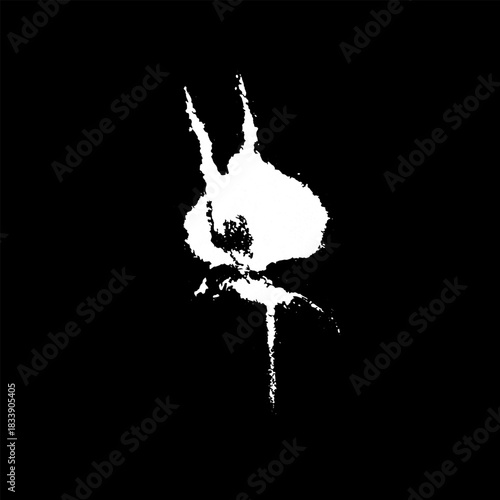 Hand drawn stylized grunge bird droppings set black and white. Flat blot style vector illustration. (Can be used as texture for cards, invitations, DIY, web sites)