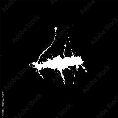 Hand drawn stylized grunge bird droppings set black and white. Flat blot style vector illustration. (Can be used as texture for cards, invitations, DIY, web sites)