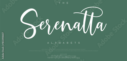 Classy minimalist elegant luxury alphabet font suitable for branding, logo, etc.