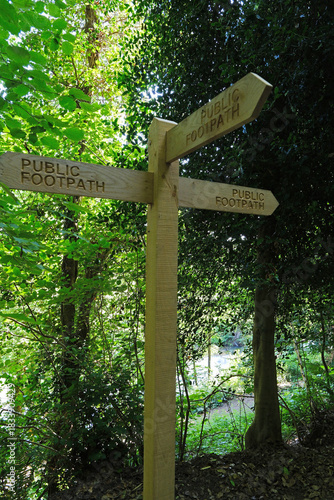 Wooden Public Footpath Signpost in a Dense Forest or Woodland