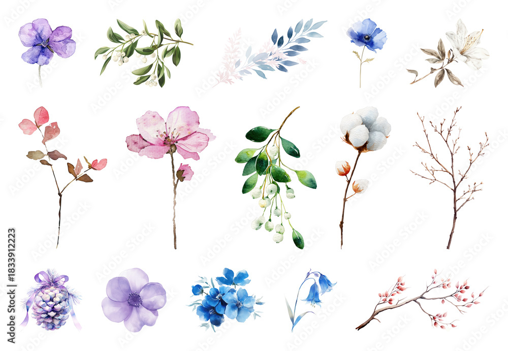 Fototapeta premium PNG Colorful watercolor floral illustrations, element set on transparent background