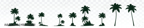 Tropical palm tree silhouettes with small island shapes on a transparent background. Perfect for summer vacation themes, travel posts, resort branding, beach banners, and exotic holiday designs.