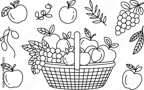 Black and white line art illustration of a fruit basket with apples grapes and leaves branches