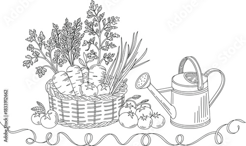 Black and white line drawing of a woven basket filled with carrots and tomatoes next to a watering can and decorative ribbon