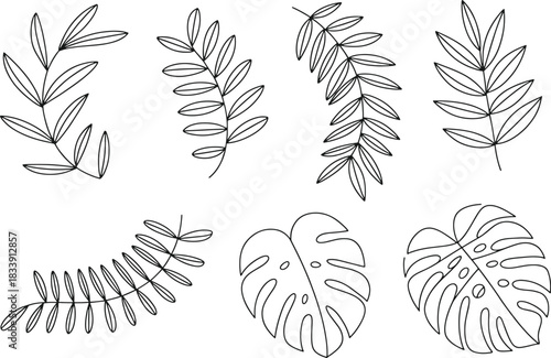 Black and white line art collection of tropical leaves and branches leaf
