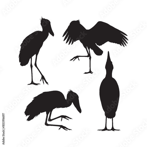Shoebill Stork Silhouettes Collection, Shoebill Stork Silhouette, Bird Vector, Wildlife Illustration