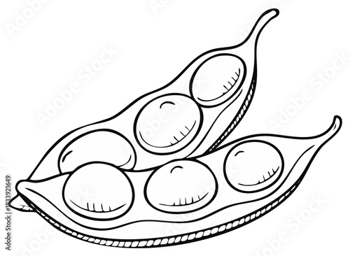 Two Line Art Pea Pods Fresh Edamame Outline Illustration Graphic