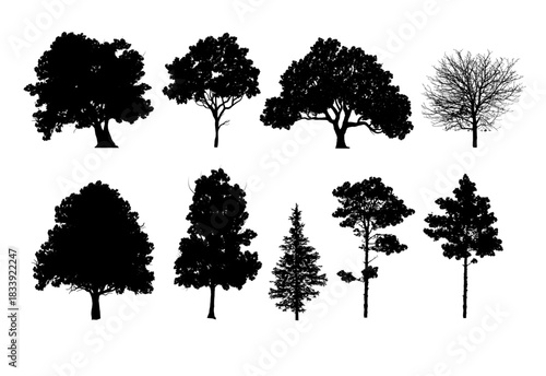 Silhouette tree,  Outline tree set, side view graphic elements for landscape design and architectural drawing, isolated - vector illustration