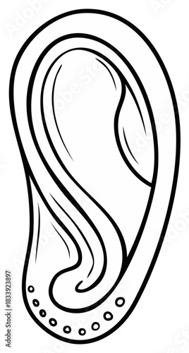 Stylized human ear line art with multiple lobe piercings simple black and white illustration