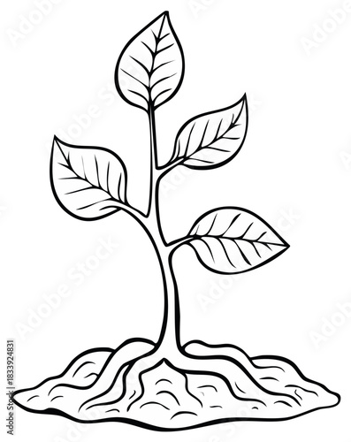 Simple Sprout Drawing with Leaves and Roots on Mound of Soil Outline Style Line Art Graphic