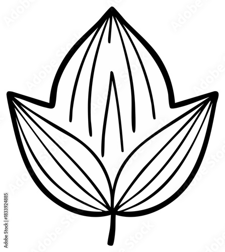 Abstract illustration of a simple leaf design with outline in black