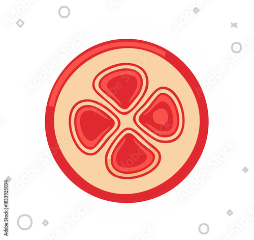 Slice of red fruit with seeds stylized cross section for botanical illustrations