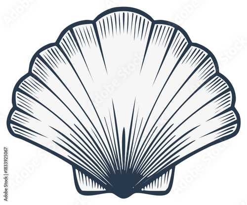 Elegant Stylized Scallop Seashell Illustration Marine Nautical Ocean Emblem Design