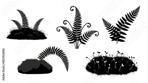 Elegant fern silhouettes in various arrangements perfect for nature-themed designs
