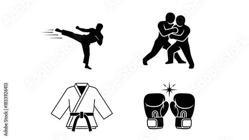 Illustration depicting martial arts training and equipment for various combat sports