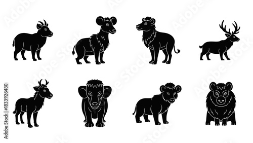 Illustrations depicting a diverse collection of animal silhouettes in a clean modern style