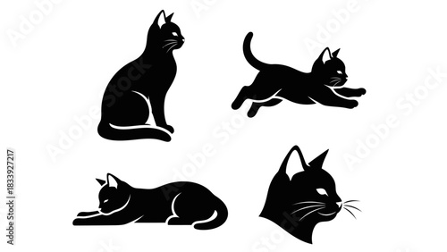 Silhouette representations of cats in various poses evoking feline grace and mystique