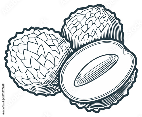 Illustration of two whole lychees and one halved lychee in a simple line art style